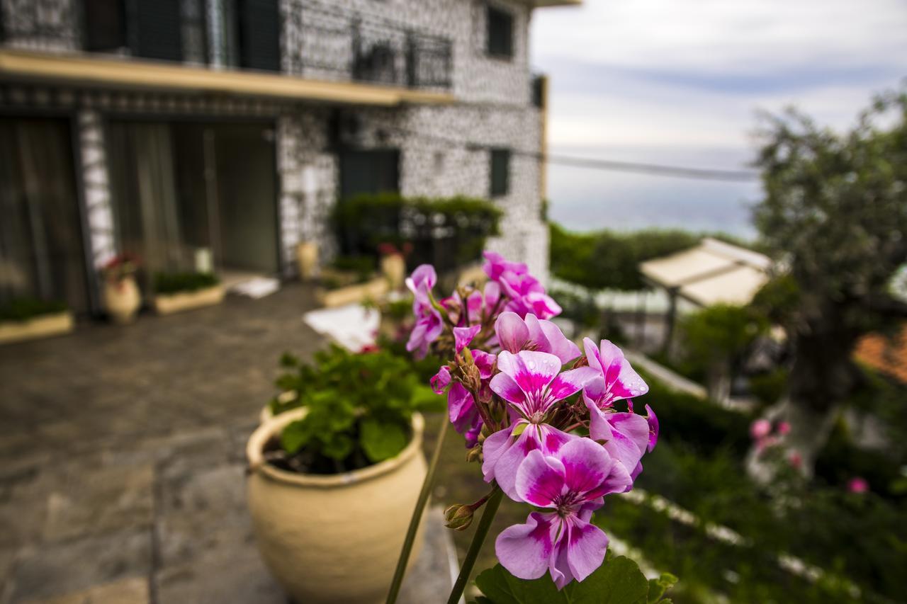 Hotel Villa Nisteri Λιμένας Εξωτερικό φωτογραφία
